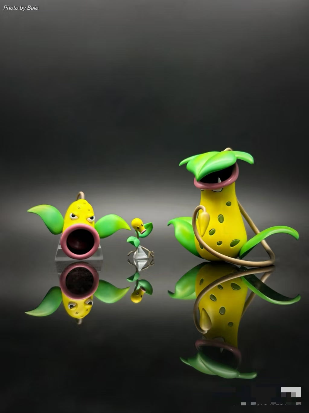 〖Make Up The Balance〗Pokemon Scale World Bellsprout Weepinbell Victreebel #069 #070 #071 1:20 - Mega Studio